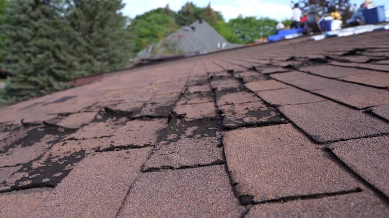 Best Tile Roofing Installation  in USA
